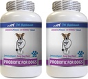 养狗消化剂 养狗消化剂 PROBIOTICS 养狗消化剂 PROBIOTICS 养狗消毒剂 PROBIOTICS 养狗消毒剂 PROBIOT 养狗消毒剂 PROBIOT 养狗消毒剂 PROBIOTICS 养狗消毒剂 PROBUT 养狗消毒剂 PROBIOTICS 养狗消毒剂 PROBIOT 养犬消毒剂 PROBIOTICS 养狗消毒剂 PROBIOTICS 养狗消毒剂 PROBIOTICS 养狗消毒剂 PROBIOTICS 养狗消毒剂 PROBOTICS 养狗消毒剂 PROBIOTICS 养狗消毒药(120 疗药)