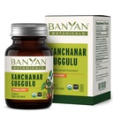 Banyan植物学 Kanchanar Guggulu 药片 – 与 Guggulu Resin 的有机淋巴补充剂 – 促进健康消除天然毒素 * – 90 药片 – 非GMO 可持续来源 Vegan
