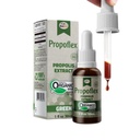 Beerlife Proflex Organic Green Propolis Extract - High Artepillin-C级,抗氧化剂-Rich 总体健康补充 - 自然与科舍-友好饮食补充 - Made in Brazil, 1 Fl. Oz.