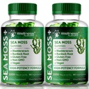 (原始内容存档于2019-09-25) (英语). wellNess LABSRX Sea Moss Gummys, 3200mg 爱尔兰海 Moss Merry混合火焰 最大概率 Bradderwrack和Burdock Root - 支持皮肤,能量和豁免 - 180 Counter