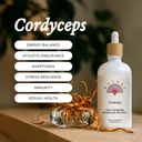 Rainbo - Cordyceps Mushroom Tincure - 无酒精 - Dual extracting mushroom Supplement - 免疫支持,能量,液态Cordyceps Supplement, Vegan, Non GMO, 3.4 fl oz