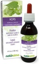 Naturalma Hops (Humulus lupulus) strobilus 或 Cone (Female Flowers) 无酒精小叮当 - 4 fl oz 液滴提取 - 草药补充 - Vegan