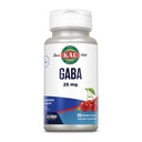 KAL GABA 补充、放松支助和压力救济支助、天然樱桃Flavor ActivMelt 即时溶解、蔬菜、60天钱包担保、120个服务、120个微片