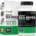 更新活性海蚊三动抗氧化剂混合剂与生物牡蛎 — 有机爱尔兰海蚊500MG, Bladderwrack 500MG & Burdock Root 400MG 每2个卡普尔 – 加拿大制造 — 60个卡普尔