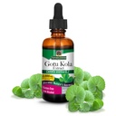 自然之答 Gotu-Kola 草药 2 OZ