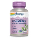 SOLARAY Fenugreek种子提取700毫克 - Fenugreek Capsules 含65% Galactomannan 饮食纤维 - Non-GMO, Vegan Fenugreek 健康消化支持补充剂 - 45 services, 90 Veg Caps