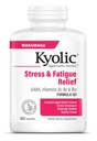 Kyolic Aged Garlic 提取公式 101,压力和法蒂格救济, 300 Capsules.