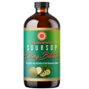 Essence Herbs Soursop Bitters Liquid for Digestive & Gut Support, 有机草药补充剂, 配有 Soursop Leaf & Fruice, Moringa, 黑种子, Neem, Turmeric & Ashwagandha, 16 fl oz