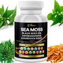 海 Moss 3000mg 黑种子油 2000mg Ashwagandha 1000mg Bladderwrack 1000mg 涡轮 1000mg Burdock 1000mg 维生素C & D3 长莓 Manuka Dandelion 黄码头 氯乙烯