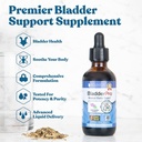 Rejuvica Health Bladder Pro for Men and Women - Bladder 支助补编 - 液体交付促进更好的吸收 - 南瓜种子、Uva Ursi、Goldenrod 及更多