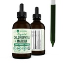360 营养 Matcha Cholophyl Liquid Drops with L-Theanine, Gluten Free & Vegan 内部除臭剂补充剂,支持古特健康,消化,能源,拉迪安特皮肤,快速吸收,60种服务