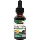 Nature's Answer Black Walnut Green Hull Except 1oz - 无酒精,无胶,Kosher - 黑色 Walnut, Wormwood Black Walnut Clove Parase Cleanse - Detox & Liver Supports, 消化清洁器