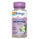 SOLARAY MORINGA CAPSULES 900 mg - MORINGA 补充135 mg Saponins - 草药支持w/Naturally Official 维生素,矿物,氨基酸,Vegan,60天保证,30 Servi,60 Veg CAPs