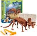 Geoworld Triceratops Dino Dig Kit – 组装8英寸认证的恐龙Skeleton模型 – Ultimate STEM 儿童年龄6+学习经验