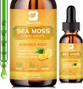 Sea Moss液滴 - 爱尔兰有机海 Moss Gel 配有 Spirulina, Bladderwrack, Burdock Root, Pinapple Seamoss Gel 联合,解毒清洁和消化支持 - 2 Fl Oz, Vegan