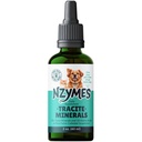 Nzymes 用于宠物的Tracite矿物 -- -- Fulvic酸、Humic酸、铁-痕量矿物滴和氨基酸用于ATP能源,以及美国制造的消化性健康