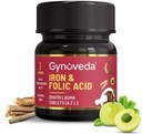 Nutranix TNA 铁叶酸补充剂 | Ayurvedic 血红蛋白在Calcium的富集, B9, B12, 来自Amla的维生素 C 帮助贫血, 怀孕 | 1瓶, 60片