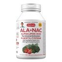 ANDREW LESSMAN ALA + NAC Alpha Lipoic Acid with N-Acetyl-Cysteine 360 Capsules - Ultra-High Potency, Anti-Oxidant Support for Nervous System, Heart, Brain, Liver, Kidneys, Lungs, Energy. No Additives