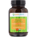 PLUE PLANET 有机阿姆拉 C Plus, 100 CT