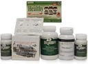 与Pancreatic Natuable Kit的Pancreas慢性炎症