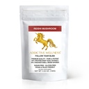 添加性健康 Reishi 蘑菇提取剂 Powder + Spores(50/50 Blend) Wood Grown Pure & Potent Wildcrafted Ganoderma(100格拉姆) 添加性健康 喷粉 + Spores(50/50 Blend)