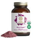 SYNERGY Berry 动力 有机莓和水果粉 抗氧化剂补充剂 有机Acai、Camu Camu和野蓝莓 用于健康老龄化、Immune和皮肤支持(5.3 oz粉)