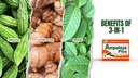 Ampalaya Plus 550mg 90 Capsules - Pack of 1 - 与 Banaba, Turmeric Ginger 和 Bitter Melon 由 Ampalaya Plus - Halal草药
