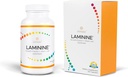 LAMININE: 健康、认知功能和生命力的细胞支持 -- -- 细胞恢复、压力缓解和联合减少不适(120个计数)