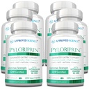 获批准的Science Pyloriprin - 对健康胃的高级消化支持 - Zinc L-Carnosine, Probiotic, Broccoli Sprout, Deglycyrrhized Licorice - 360 Capsules - 6个月供应 - Vegan