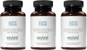 EGCG 绿色茶叶提取器 | 400 mg - 抗氧化剂补充剂 | Vegan, Gluten Free | 100 Vegetarian Capsules (Pack of 3)