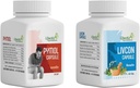 通用Dalal Pymol+Livcon Capsule(30 Cap) 快速缓解出血,烧伤和疼痛 I为皮尔斯,Fissure。 瘘、炎症和直肠