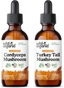 野生和有机的 Cordyceps 蘑菇