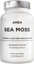 阿门·海·莫斯补编 - 1000mg 爱尔兰有机海 Moss, Bladderwrack, Burdock - 维生素C, Aloe Vera, 黑辣椒 - 海藻超食品,维生素,矿物,以及抗氧化剂 - 非GMO - 90 Capsules