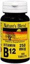 Nature's Blend NAT B 维生素 B12 TB, 100 Counter (英语).