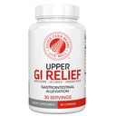 Silver Fern GI Relief - Natural Herbal Supplement - All Natural with Artichoke Leaf Extract, Ginger Root Extract, and GutGuard Licorice Flavoids (1瓶 - 60卡普尔 - 30天供应) (中文(简体) ).
