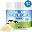 Bovine Colostrum Power for 豁免支助和Gut Health, Hair growth, Colostrum 补充粉, Gluten Free, 46 services (Uniformed) 存档副本.