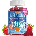 Melatonin 睡眠支持 Gummys (60 Counter) 草莓日落 Creme Flamor Chews 2.5mg Per Gummy 儿童和成人睡眠补充 QQ 更快和更长睡眠的补充
