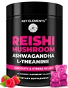 天然的Reishi蘑菇 Gummys & L Theanine 配有 Ashwagandha – 强力蘑菇补充剂 免疫支持,压力救济和改善睡眠 Gummys – Ashwagandha Gummys for Women and Men
