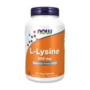 现在食品L -Lysine 500毫克,250平板