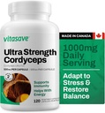 Vitasave Cordyceps 蘑菇增殖 – 1000mg 超强 – 自然能源,耐力和免疫支持 – 纯 Vegan Capsules – 非GMO, Gluten-free – 120 Counter(60天供应)