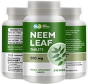 Neem牌匾 - 100%纯度(Azadirachta Indica)(240个计数 - 500毫克) 120天供应(1包)