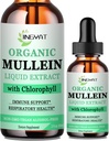 Mullein Dropps for Lungs – Powerful Mullein Leaf 提取与氯phy,维生素C,肉桂为免疫支持,解毒和呼吸支持,Brunchial支持 – NO-GMO,Kosher,Gluten-Free
