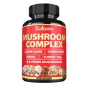 Satoomi 90 Capsules - 10in1 Turkey Tail Supplement with Lions Mane, Turkey Tail Mushroom, Reishi Mushroom et others - 90 days - 与狮子马恩,土耳其的Tail Mushroom, Reishi Mushroom et others - 90 days (英语).