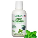 土地艺术 - 液态氯酚薄荷 – 从野生非GMO Alfalfa – 天然 Clorofila Liquida – 抗氧化剂 - 解毒补充剂 - 靴子能量 - Alkaliting & Body Odor 中性剂 - 16 floz