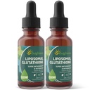 Liposomal Glutathione、高级吸收、液态Glutathione补充剂、强抗氧化剂、活体解毒剂、免疫增强剂、无豆类、非GMO、Vegan & Gluten Fre,4 f.oz,1500毫克