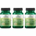 Swanson Lactobacillus Rhamnosus with FOS - Probiotic 补充支持消化健康 - 5亿 CPU - 促进旅行期间的GI 切除健康 - (60 Vegie Caps) 3 Pack