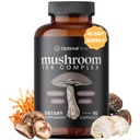最佳Prime 10x蘑菇复合剂补充剂 - Lions Mane, Cordyceps, Turkey Tail for 豁免, 能源, Mood, Focus - 自然健康促进剂, 90 Caps