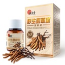 Wild Cordyceps Plus – 藏族 Wild Cordyceps & 5 Cultied Cordyceps for Imune, Energy & Lung Supports – 60 Capsules (英语).