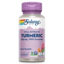 SOLARAY Turmeric Supplement 300 mg - Turmeric root screw 含95% Crucumin - 联合健康和舒适联合支助补充 - 非GMO、Vegan、Gluten Free、60天保障、60次服务