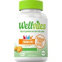 Wellvites 无糖儿童 Immune日报 Gummy Vitamins - Vegan, Non-GMO - 维生素C Gummys for Kids Immune Support, no Artificial Sweeteners, Gluten - Free, 60 Counter (30天供应).